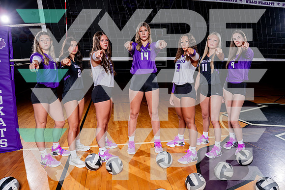 WILLIS_VB-(COLLIER)-6