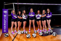 WILLIS_VB-(COLLIER)-5