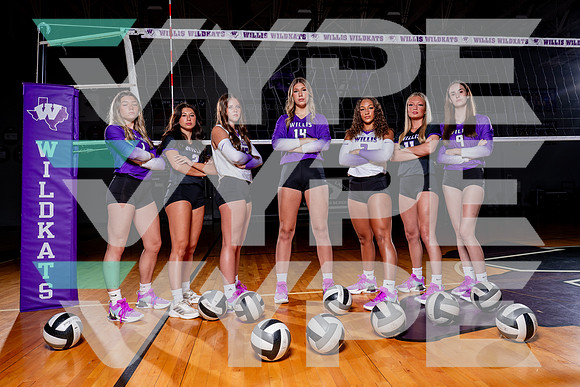 WILLIS_VB-(COLLIER)-5