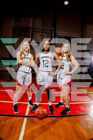 BRAZOS_GBB-(BCC)-13