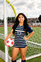 KLEIN_COLLINS_GSOC-(WRIGHT)-17