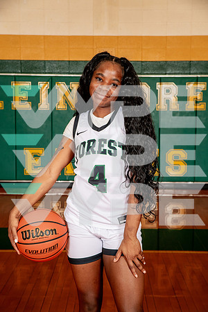 KLEIN_FOREST_GBB-(WRIGHT)-4