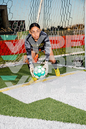 KLEIN_FOREST_GSOC-(WRIGHT)-5