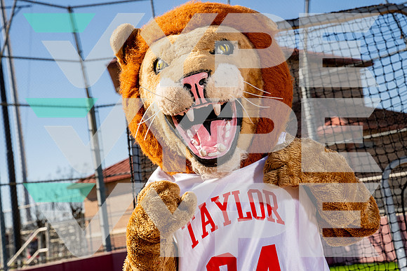 TAYLOR_SFBL-(BCC)-76