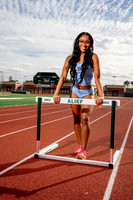 ELSIK_TF-(BCC)-6