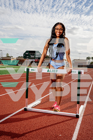 ELSIK_TF-(BCC)-6
