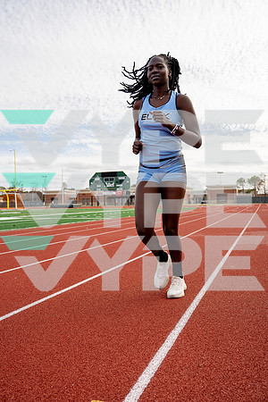 ELSIK_TF-(BCC)-43