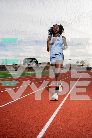 ELSIK_TF-(BCC)-41