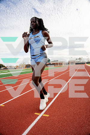 ELSIK_TF-(BCC)-40