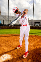 DULLES_BSBL-(BROWN)-072