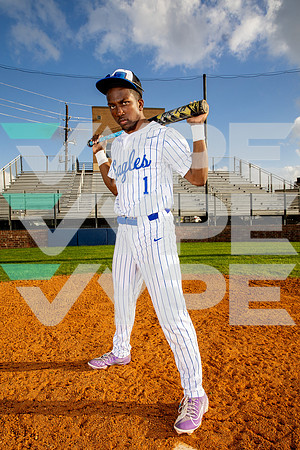 WILLOWRIDGE_BSBL-(BROWN)-034