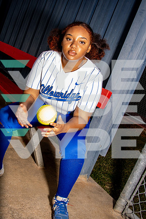 WILLOWRIDGE_SFBL-(COOK)-006