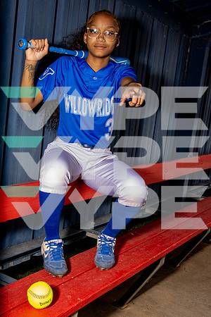 WILLOWRIDGE_SFBL-(COOK)-002