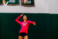 15-TWCA_VB_Brooke Harris-(BCC)