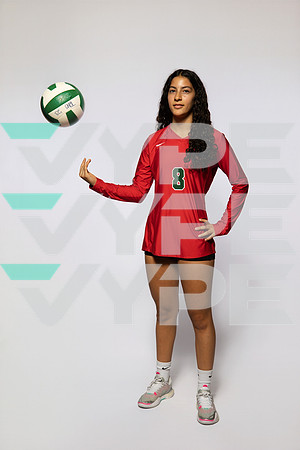 0F9A0137-WOODLANDS_VOLLEYBALL-(BROWN)