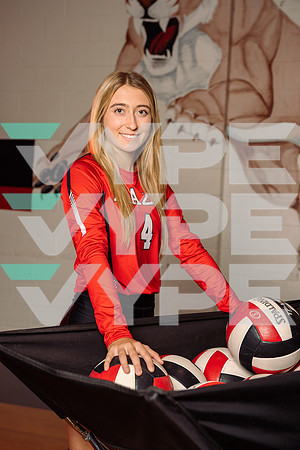 BRAZOS_VB_01565-(HARTOJO)