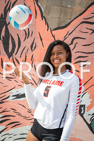 vypevballpreview2018_Bellaire_Armyni Perales