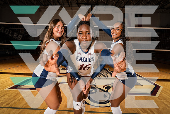 ROWLETT_VB_00105-(COLLIER)