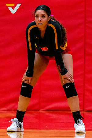 13-STAFFORD_VB_Madison Collins-(BCC)