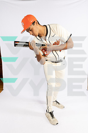 SPX_BSBL-(BROWN)-38