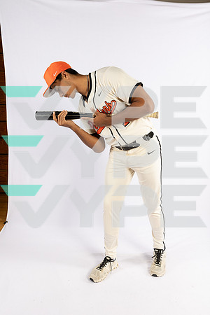 SPX_BSBL-(BROWN)-37
