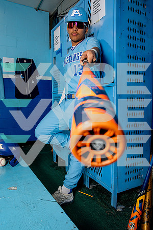 ALDINE_BSBL-(BROWN)-29