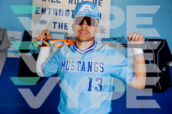 ALDINE_BSBL-(BROWN)-28