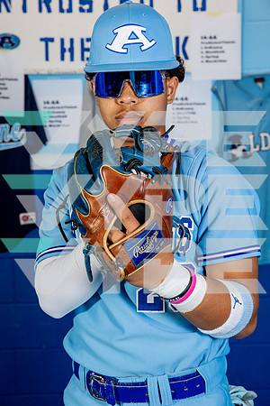 ALDINE_BSBL-(BROWN)-16