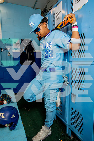 ALDINE_BSBL-(BROWN)-14