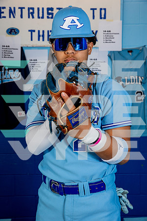ALDINE_BSBL-(BROWN)-15