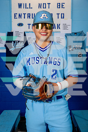 ALDINE_BSBL-(BROWN)-5