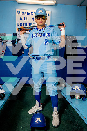 ALDINE_BSBL-(BROWN)-7