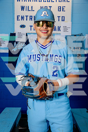 ALDINE_BSBL-(BROWN)-6