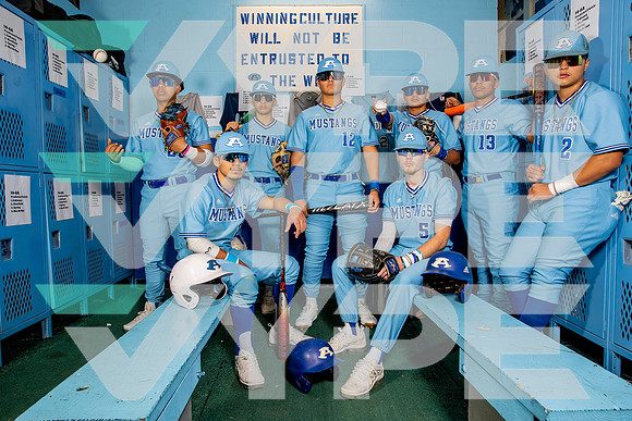 ALDINE_BSBL-(BROWN)-2
