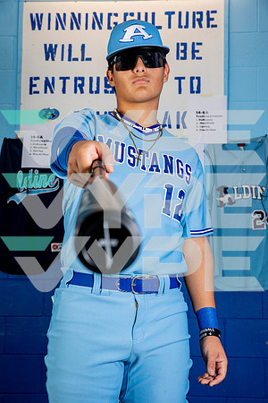 ALDINE_BSBL-(BROWN)-34