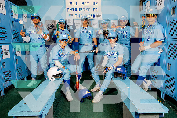 ALDINE_BSBL-(BROWN)