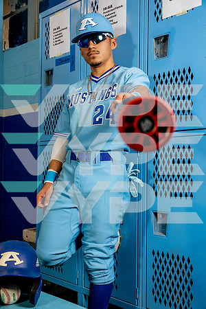 ALDINE_BSBL-(BROWN)-20