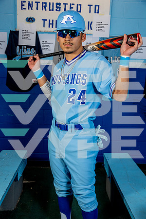 ALDINE_BSBL-(BROWN)-21