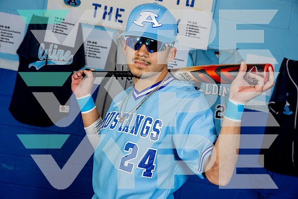 ALDINE_BSBL-(BROWN)-23