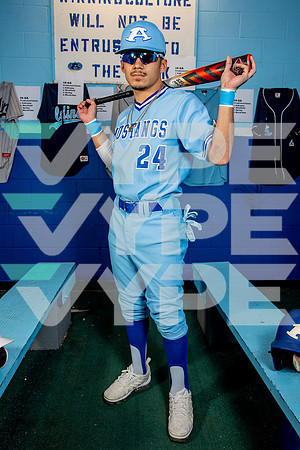 ALDINE_BSBL-(BROWN)-22