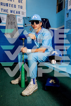 ALDINE_BSBL-(BROWN)-26