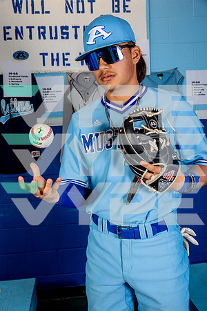 ALDINE_BSBL-(BROWN)-32
