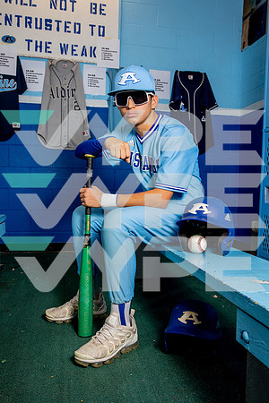 ALDINE_BSBL-(BROWN)-25