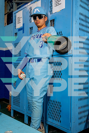 ALDINE_BSBL-(BROWN)-24