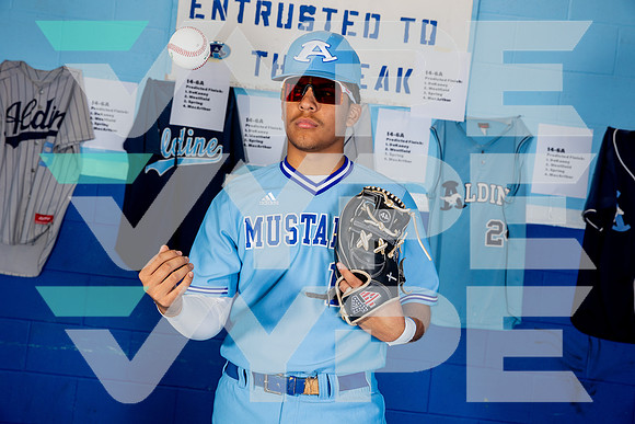ALDINE_BSBL-(BROWN)-30