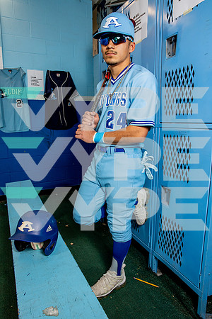 ALDINE_BSBL-(BROWN)-18