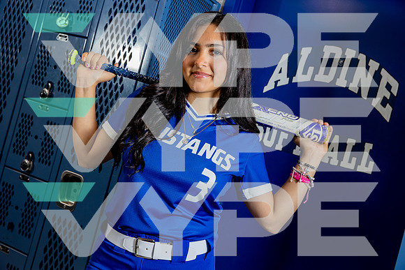 ALDINE_SFBL-(BROWN)-24