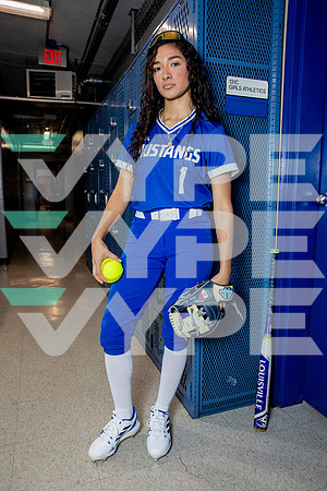 ALDINE_SFBL-(BROWN)-15