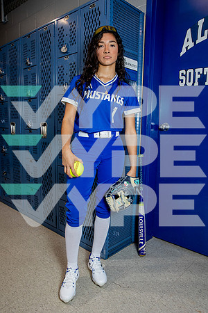 ALDINE_SFBL-(BROWN)-14