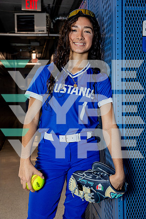 ALDINE_SFBL-(BROWN)-16